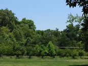 Rock_Creek_Park_Chevy_Chase