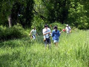 Volunteers helped environmental planners plant hundreds of trees.