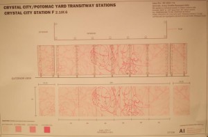 bernstein plan view