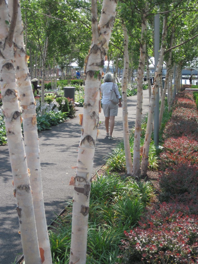 Yards Park along the Anacostia River--from concept to detail--is an utrban park