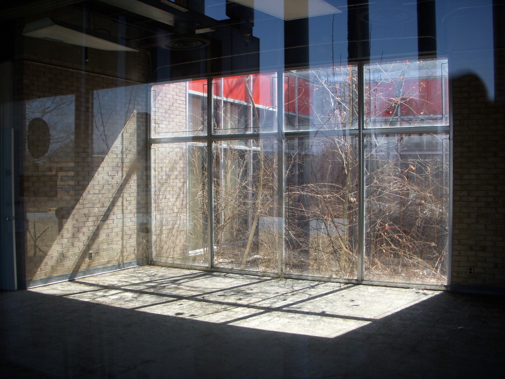 The front foyer is lit by a glass wall looking out to an interior courtyard. 