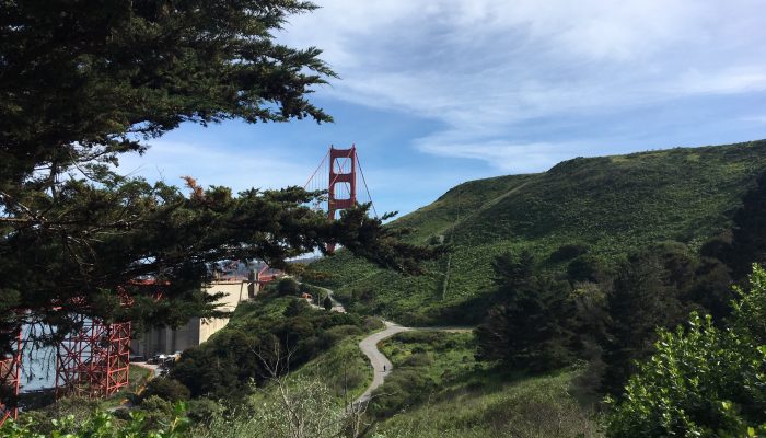 Top of Golden Gate Bridge seen behind hill and trees