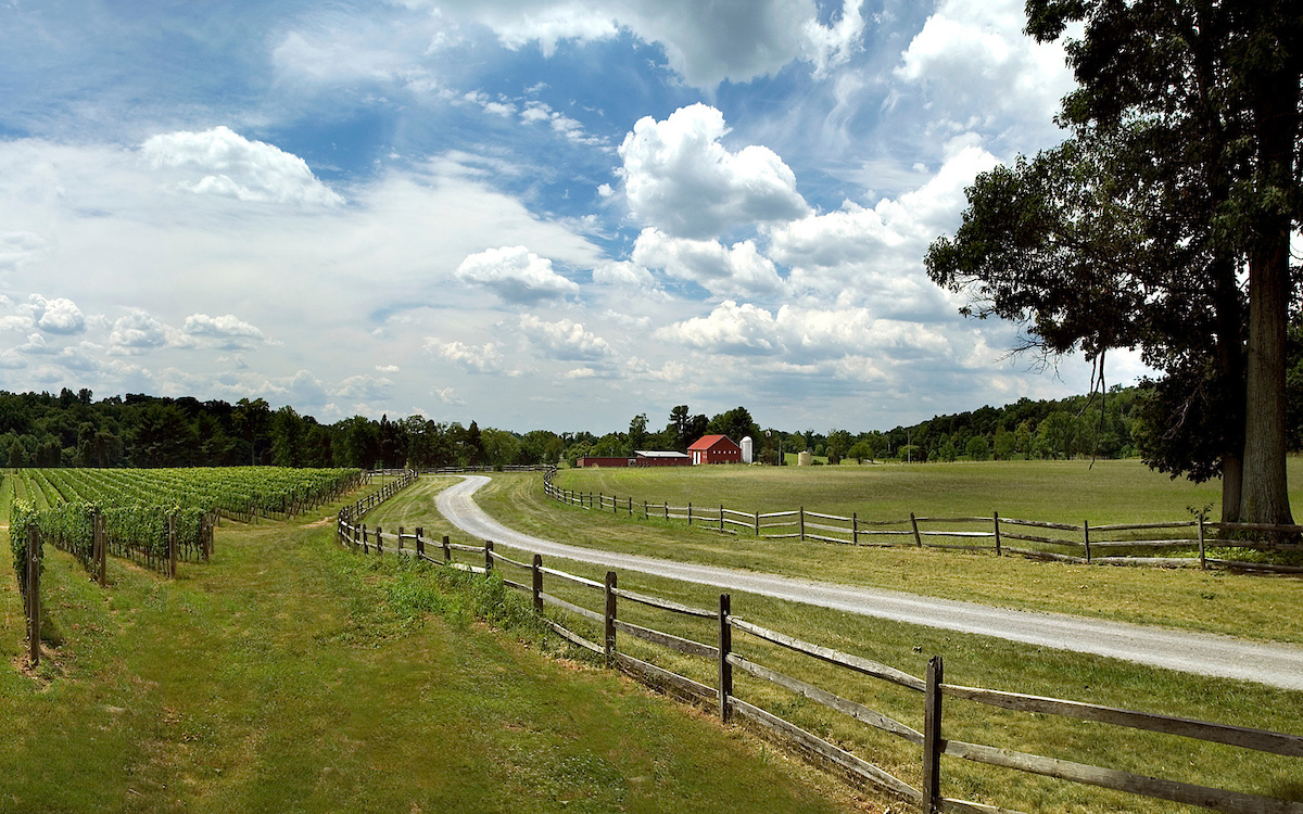 Rural landscape with barn in background