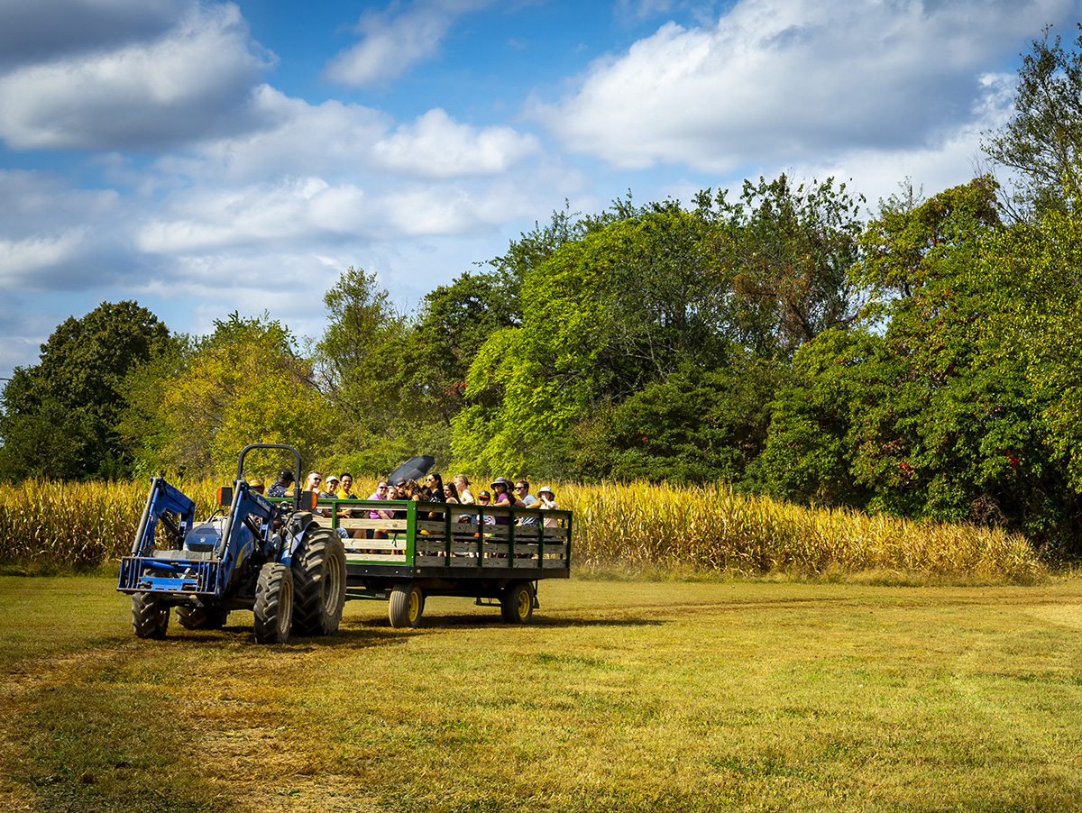 Hayride across a pasture