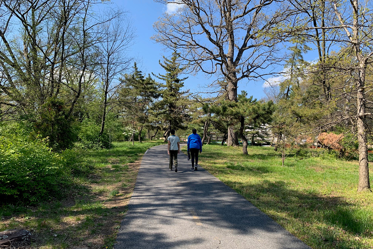 Two people walking away from camera on a park path