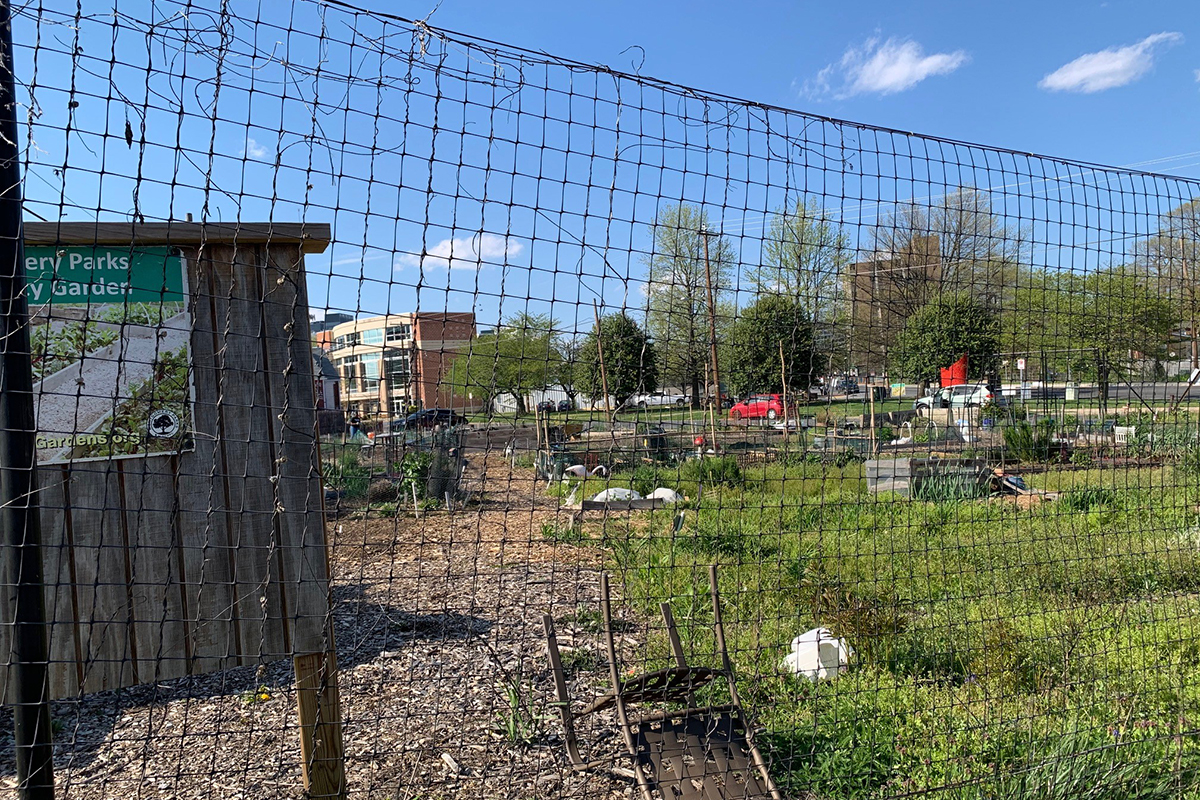 Community garden seen through a fence