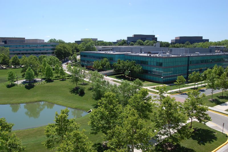 Low rise, spread out office park surrounded by green trees