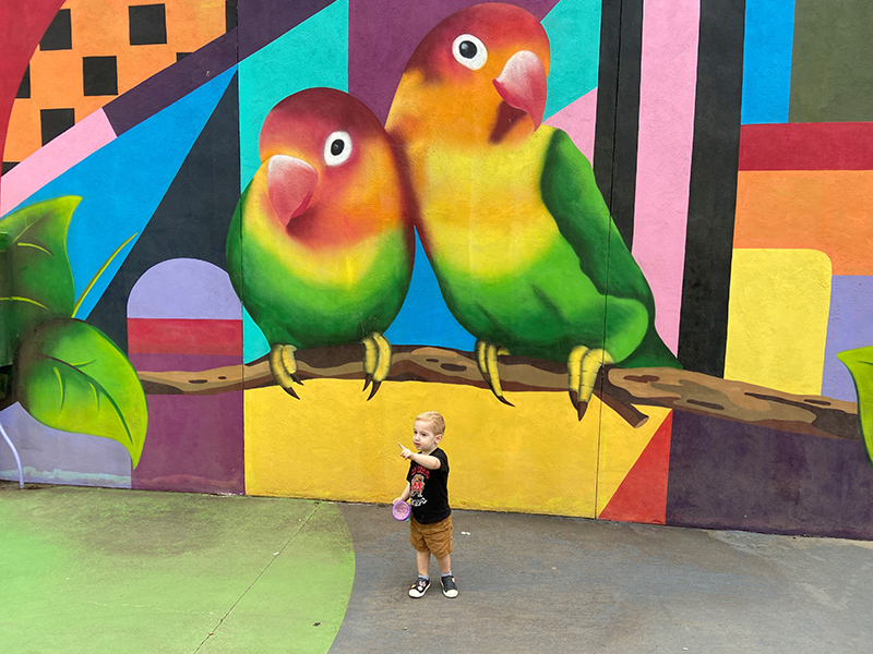 toddler standing in front of bright colored mural featuring two multicolored birds at Dewey Local Park