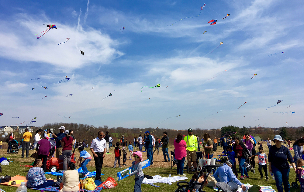 group of people flying kites