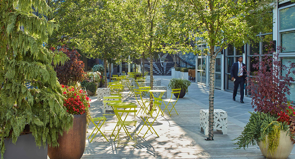 A sidewalk with tables and chairs and abundant street trees and potted plants.