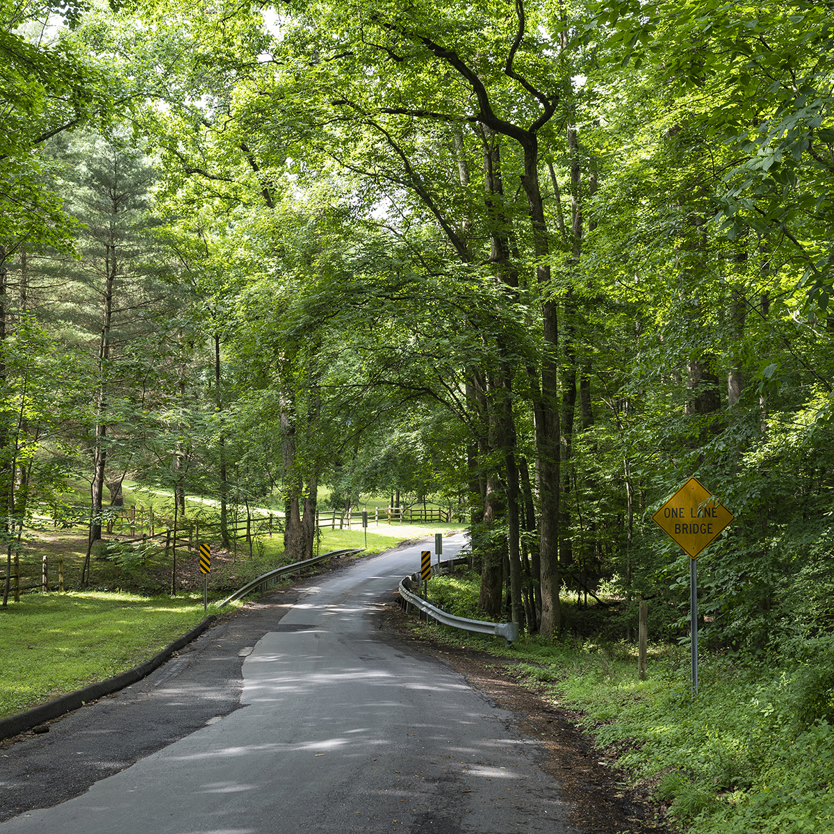 A narrow country road curves through a lush, green forest. A yellow sign on the right warns of a one-lane bridge ahead. Trees on both sides create a shaded canopy, and sunlight filters through the leaves. A wooden fence lines the left side of the road.