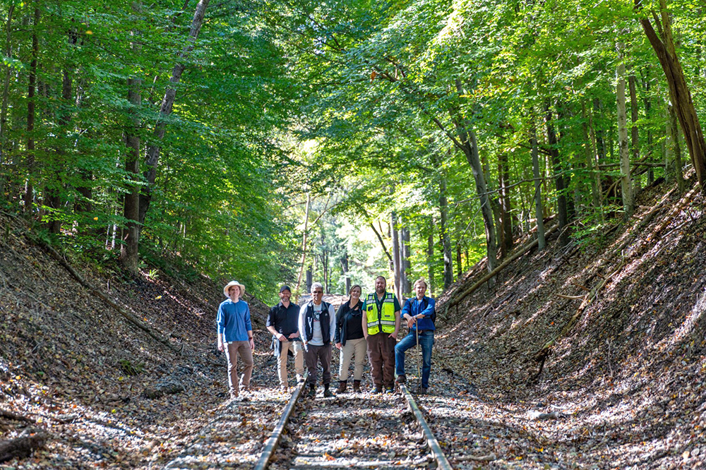 Six people stand on abandoned railroad tracks surrounded by a forest with tall, green trees. Sunlight filters through the leaves, casting dappled light on the ground and the group.