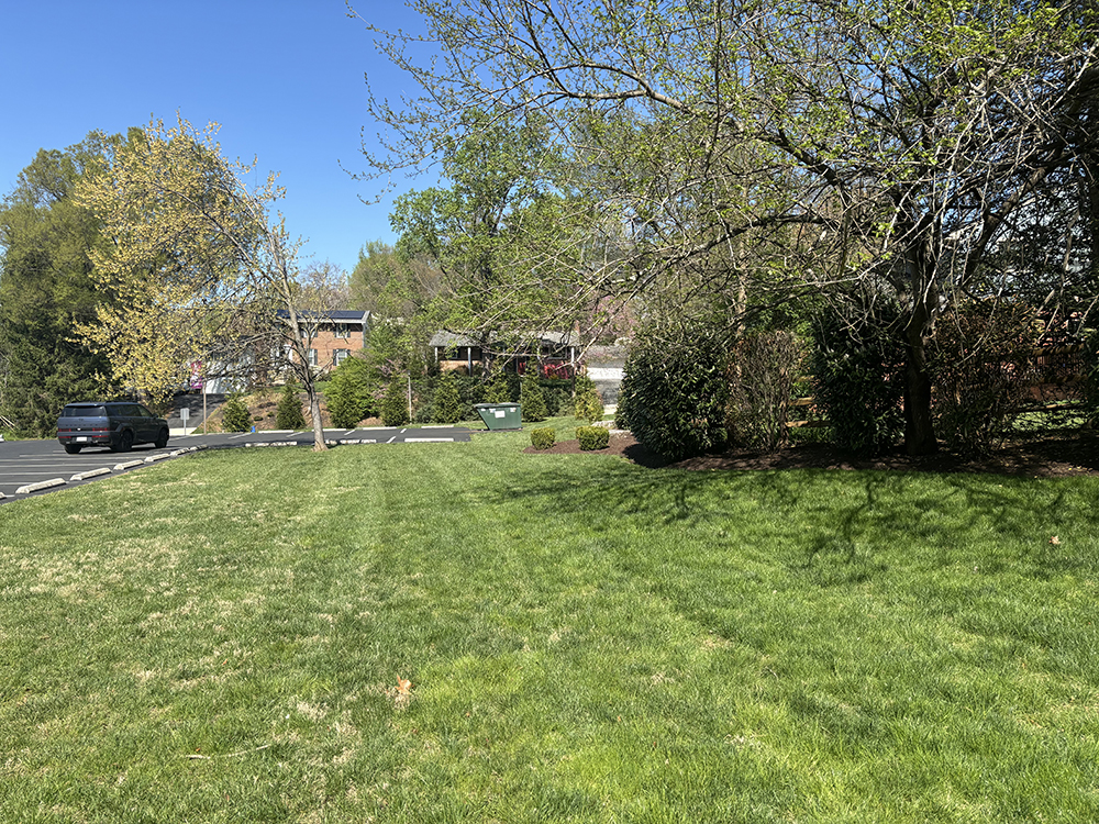 A grassy lawn with scattered trees, some budding with spring leaves, borders a parking lot and a row of houses under a clear blue sky. A green dumpster is visible near the buildings.