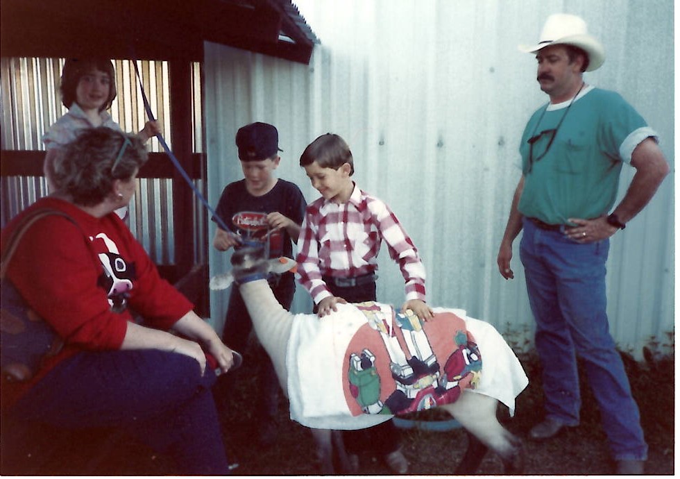 Five people gathered outdoors near a metal shed; two boys, one in a plaid shirt, are petting a sheep covered with a cartoon towel. An older woman is seated, while two adults stand nearby, one wearing a white cowboy hat.