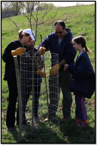 Volunteers plant a tree at Rachel Carson Conservation Park in Laytonsville.