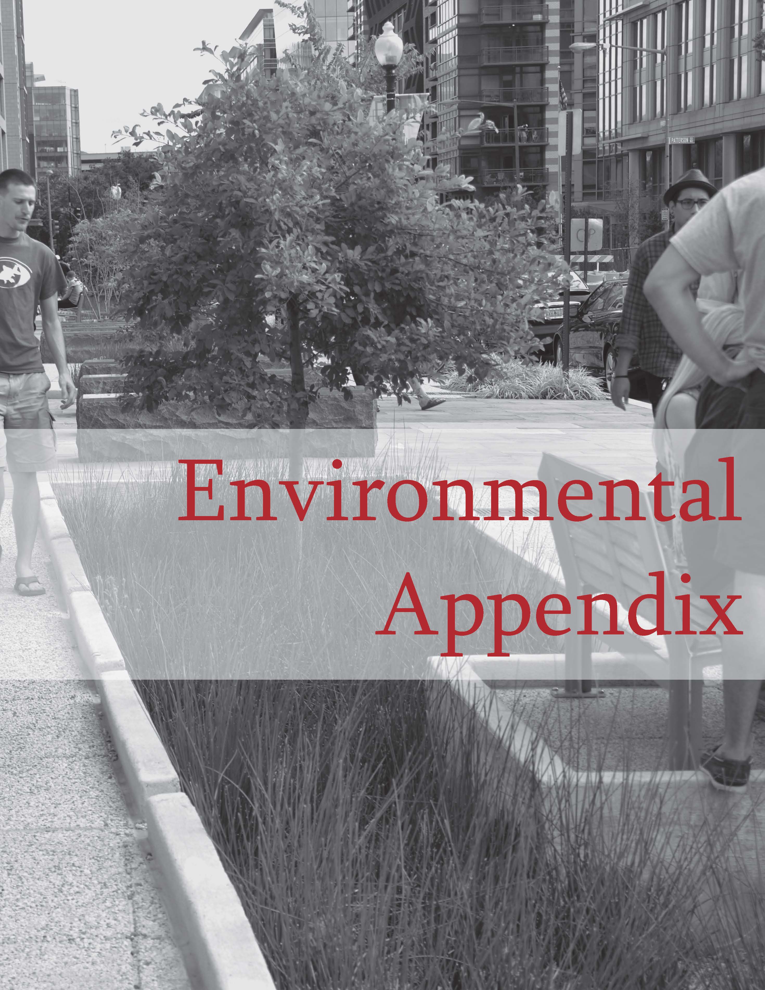 Environmental appendix