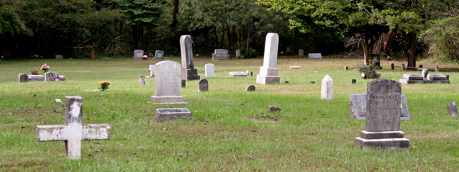 Wide angle view of a cemetery