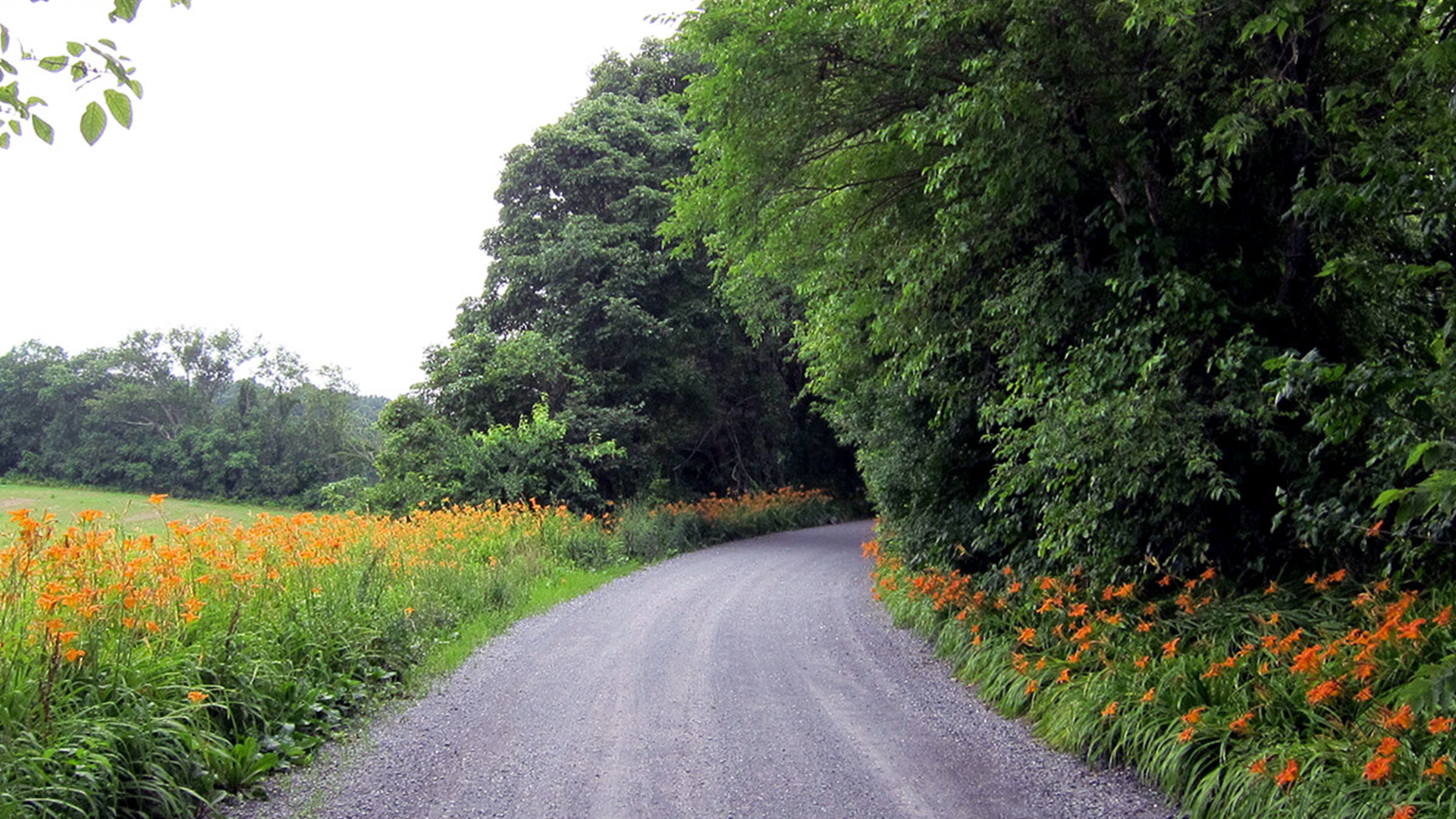 rustic roads