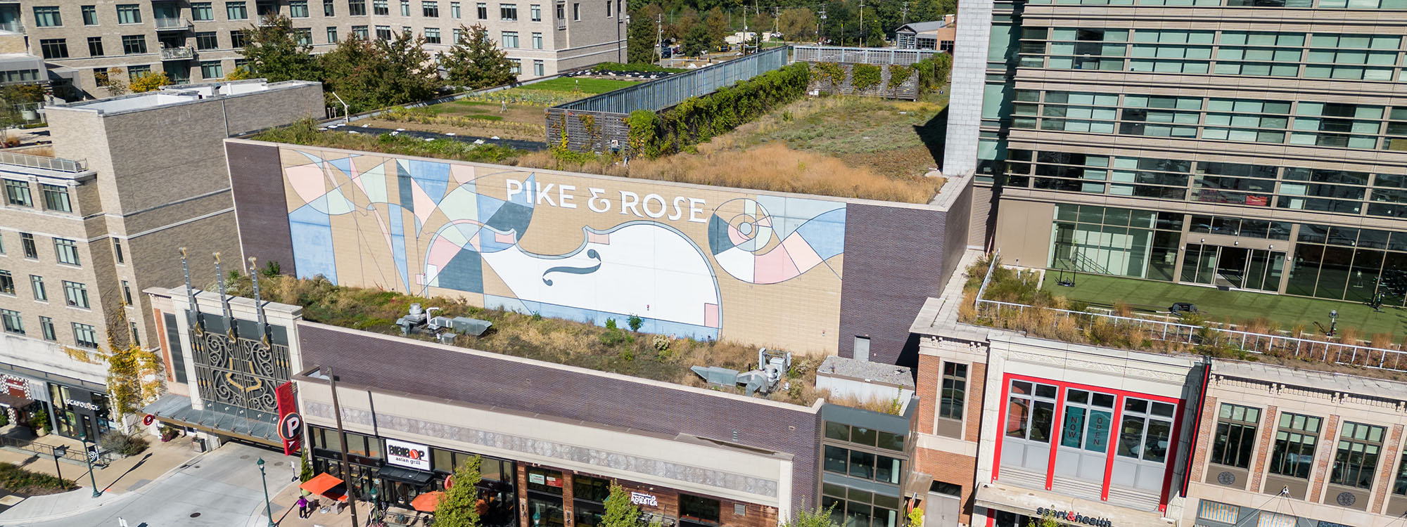 aerial of Pike and Rose with green roof