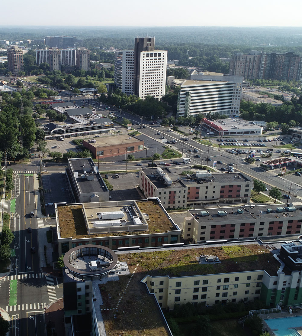 aerial image with tall and mid-height builldings, some with green roofs in foreground, expanse of trees in background