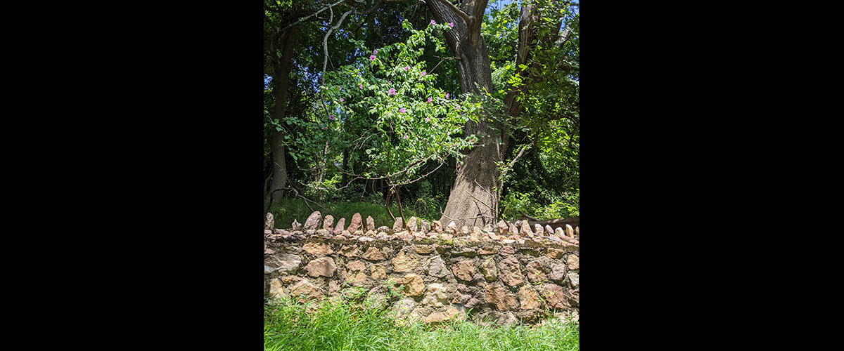 stone retaining underneath a shade tree
