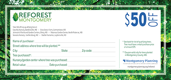 Image of $40 off coupon for native trees. Click for PDF version with text recognition.