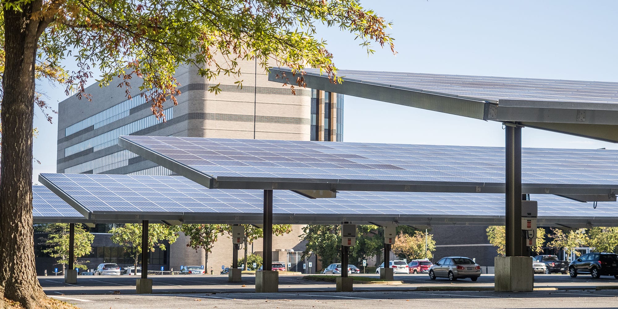 Solar panels provide shade in parking lot