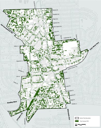 Map showing the existing tree canopy in 2021