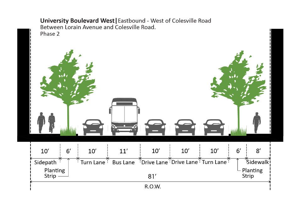 Figure 77: University Boulevard West – Eastbound Phase 2
Cross-section diagram of an 81-foot wide road with car lanes, a bus lane, turn lanes, sidewalks, planting strips, and trees on both sides; pedestrians are shown on sidewalks.