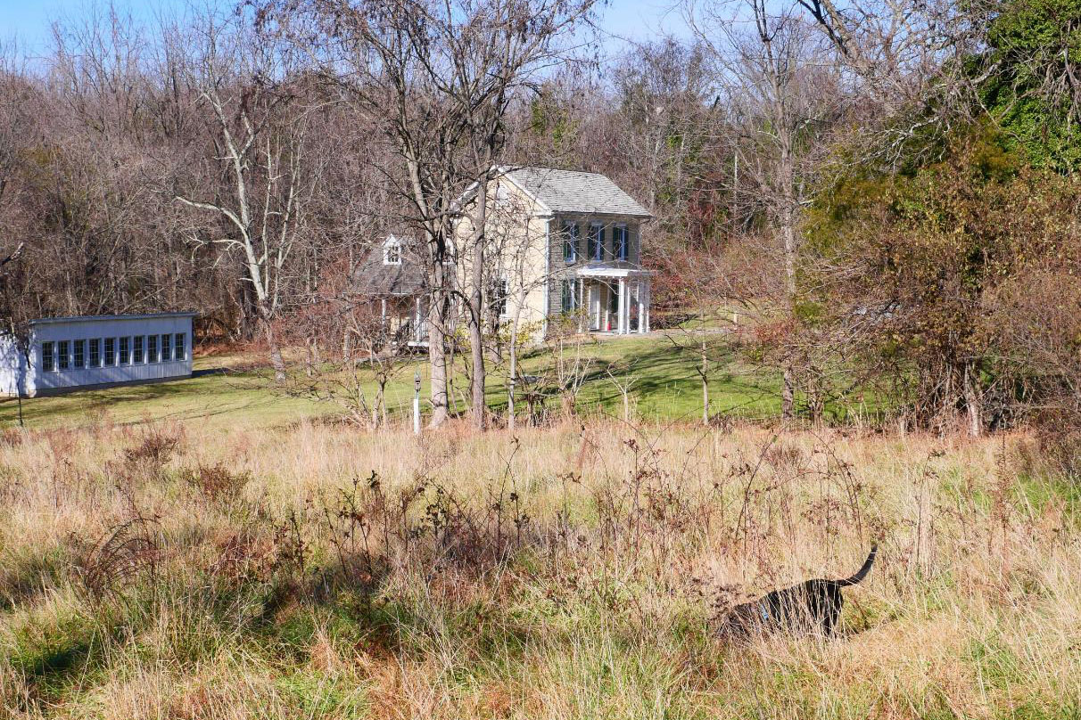 A beige two-story house with a white annex sits on a grassy lawn, surrounded by leafless trees; a dog is in the foreground tall grass.