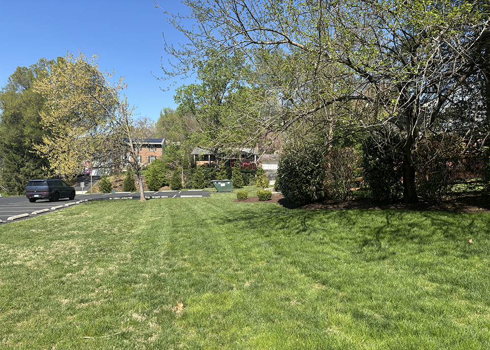 A grassy lawn with trees and shrubs, bordered by a parking lot and residential houses in the background under a clear blue sky, reflects thoughtful Montgomery Planning.